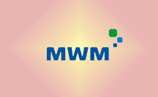 ✓ MWM 0404 0361 Запчасть MWM 